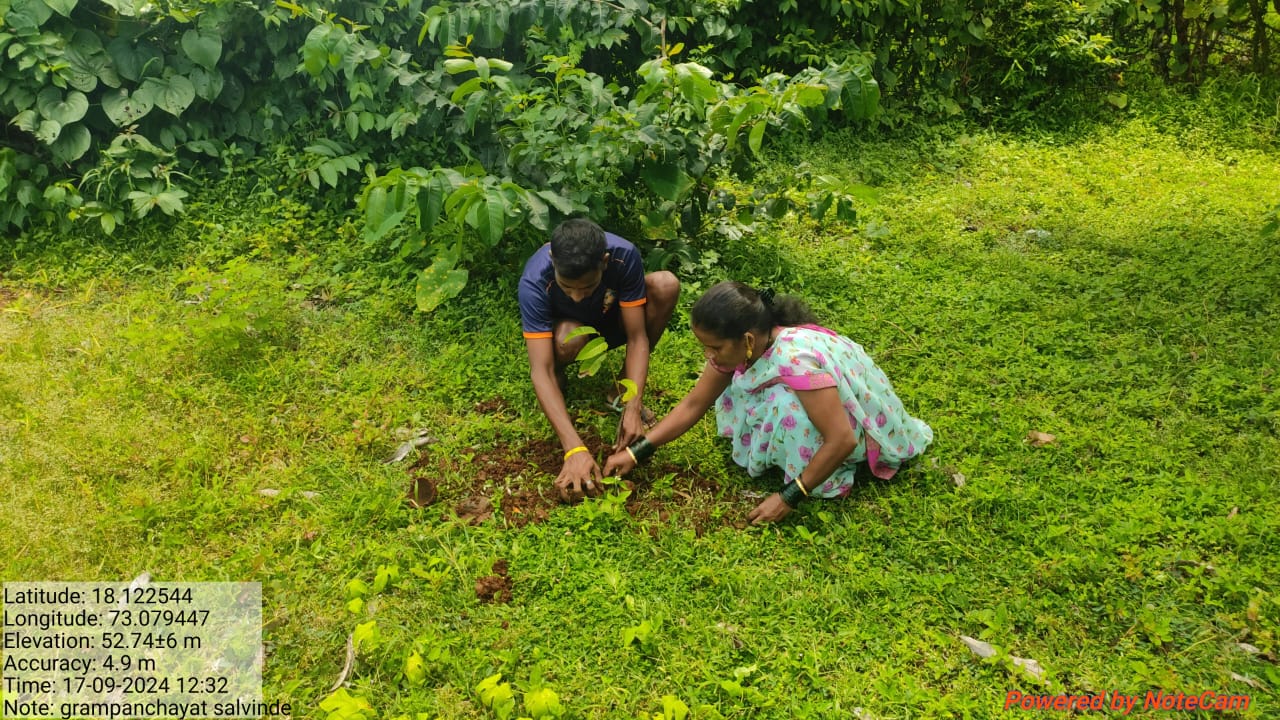 गॅलरी प्रतिमा